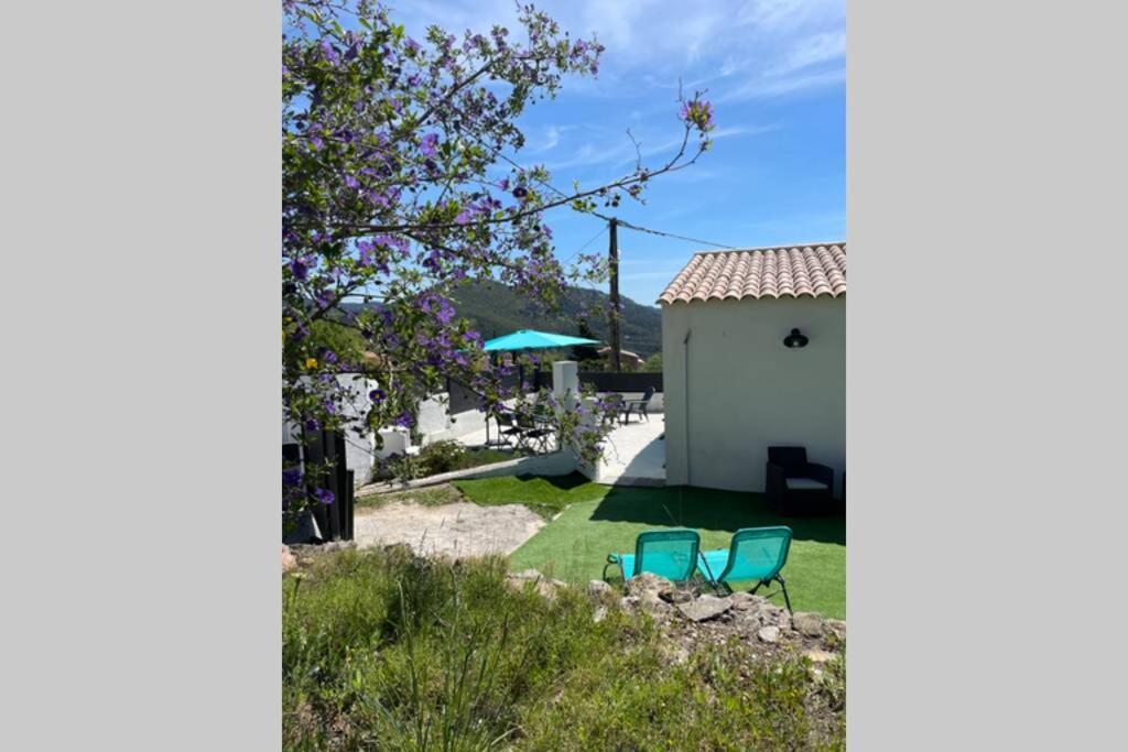 Le Revest-le-Eaux Maison Avec Jardin, Parking Entre Mer Et Montagne מראה חיצוני תמונה