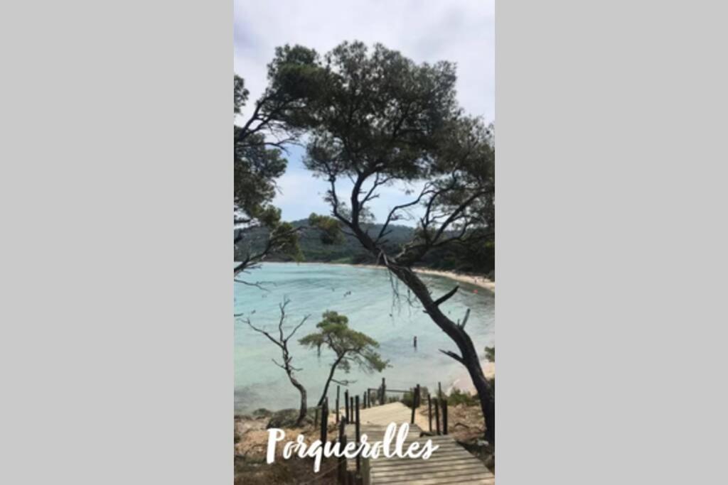Le Revest-le-Eaux Maison Avec Jardin, Parking Entre Mer Et Montagne מראה חיצוני תמונה